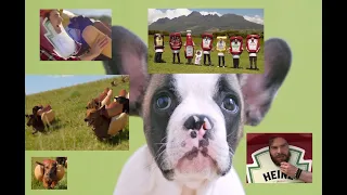 ❤️🐶HEINZ WIENER STAMPEDE Commercial BONUS dog ads puppy commercial 🐶❤️