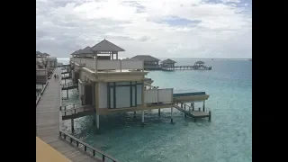 Angsana Velavaru Resort, Maldives - Overwater Pool Villa