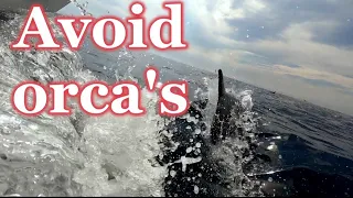 We avoid ORCA'S while sailing along the coast of Portugal - episode 14