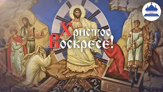 Светлое Христово Воскресенье. Полунощница. Крестный ход. Пасхальная Утреня. Литургия.(05.05.2024 вс)