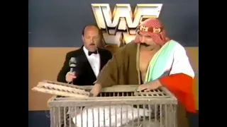 My favorite Iron Sheik Backstage Interview - WWF 1984