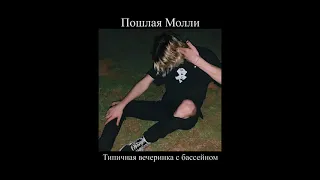 Пошлая Молли - Типичная вечеринка с бассейном (slowed down + reverb).mov || by @—акеми [мп3]