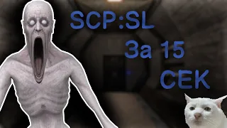 SCP:Sl За 15 секунд (Скромник, SCP 096)