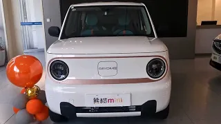 NEW Geely Panda Mini EV in-depth Walkaround