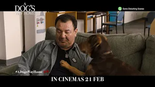 A Dog's Way Home - She- 30s - In Cinemas 21 February 2019