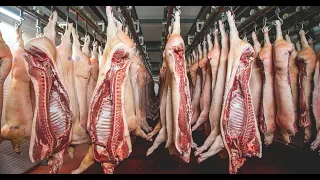 Incredible Pig Farming | Million Dollars Pork Processing Factory | Amazing Modern Technology