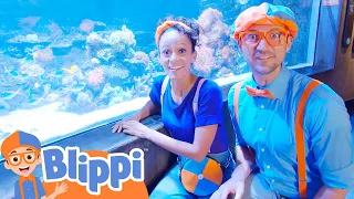 Aquarium of The Pacific | Blippi Educational Videos | Spooky Halloween Stories For Kids