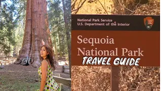 SEQUOIA California 🏞 One Day Travel Guide