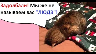 МЕМЫ. Задолбали! Мы же не называем вас "ЛЮДЭ"!