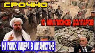 Очень Срочно Вознаграждение! 10 миллионов долларов на поиск лидера  в Афганистане!