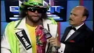 Macho Man is Insane