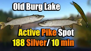 🎣Russian Fishing 4 RF4 - Old Burg Lake Very Active Pike Spot#233