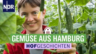 Salaternte unter dem Glasdach in den Vier- und Marschlanden | Die Nordreportage: Hofgeschichten (176