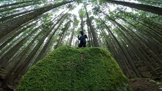 People Ride This!? A Mountain Bike Adventure in Bellingham