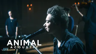 LOST ZONE - Animal (acoustic) (Official Music Video)