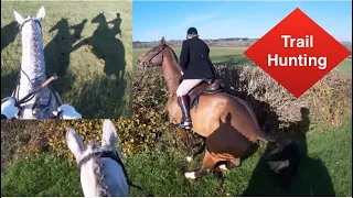 Trail Riding - Jumping Hedges on Young Horse In Cotswold | Equestrian