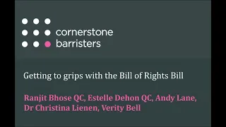 Getting to grips with the Bill of Rights Bill