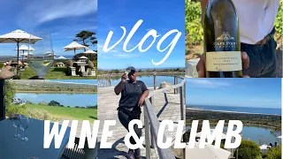 Wine & Climb at Cape point vineyards