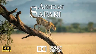 SAFARI African 4K • Wildlife Relaxation Film - Peaceful Relaxing Music - Animals 4k Video UltraHD