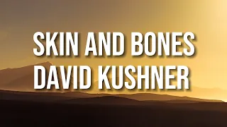 David Kushner - Skin and Bones (Lyric)