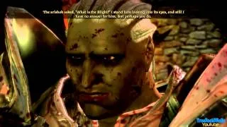 Let's Platinum Dragon Age Origins part 82 - Nightmare Difficulty