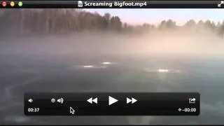 Screaming Bigfoot Breakdown