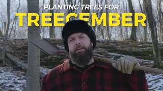 Treecember | One Tree Planted