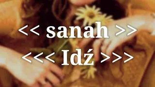 sanah - Idź (Tekst / Lyrics)