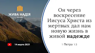 Live Hope Church ⛪ Утреннее служение 14 марта 2021 года 🕊️