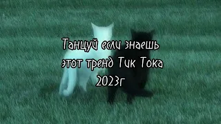 Танцуй если знаешь этот тренд Тик Тока 💃🏻 // 2023г