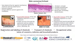 Skin Irritation and Corrosion
