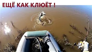 А говорили вода большая не клюёт! Сентябрь Рыбалка на Амуре