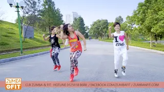 Numa Numa 2 - Dan Balan(feat. Marley Waters)/Zumba/choreo ZumbaNfit Upnotdown