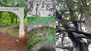 Salaga Slave History. The Last Danish Gun Found
