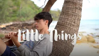One Direction - Little Things (Cover by Elliot James Reay)