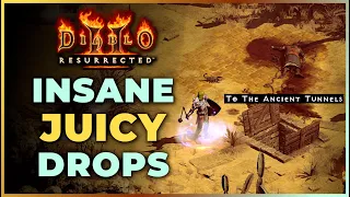 Found an Item that EVERYONE wants! - Diablo 2 Resurrected