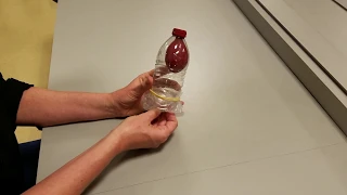 BIO 110L - Lab 14: Lung Model (Demonstration)