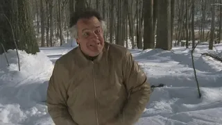 The Sopranos pine barrens scene part 10 (Blueray HD)