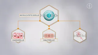 FWU - Epigenetik - Trailer