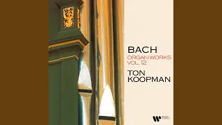 Organ Concerto No. 1 in G Major, BWV 592: I. — (After Johann Ernst of Saxe-Weimar's Violin...