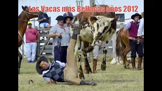 DVD - De las Vacas y Caballos más Bellacos del año 2012