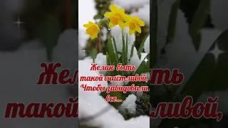 8 марта. Красивое поздравление с 8 марта.