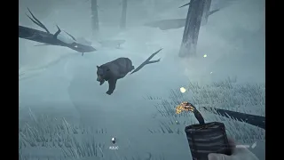 THE LONG DARK: Noisemaker blew up another bear