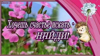 ХОЧЕШЬ СЧАСТЬЕ - НАЙДИ! Музыкальная открытка для друзей с пожеланиями