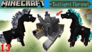 Minecraft:Twilight Froest Multiplayers #E13ចាប់សត្វ