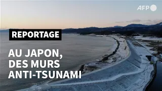 Japon: les murs anti-tsunami, massif héritage de la catastrophe de 2011 | AFP