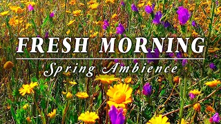 Fresh Morning Vibes🌞 Positive Feelings & Energy 🌿Healing Spring Morning Sounds for a Positive Day #2