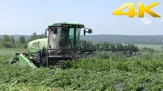 Самоходная косилка John Deere W110 (она же MacDon M100) с жаткой 7,6 метра Заготовка кормов 2018