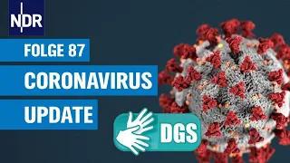 Gebärdensprache: Coronavirus-Update #87 | Coronavirus-Update NDR Info | NDR