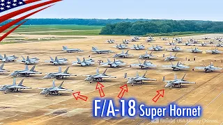 Home to 250 Fighter Jets & 4 Carrier Air Wings! - US Naval Air Station Oceana